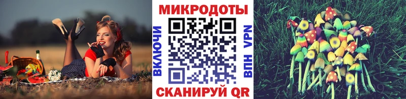 Галлюциногенные грибы ЛСД  купить   Гай 